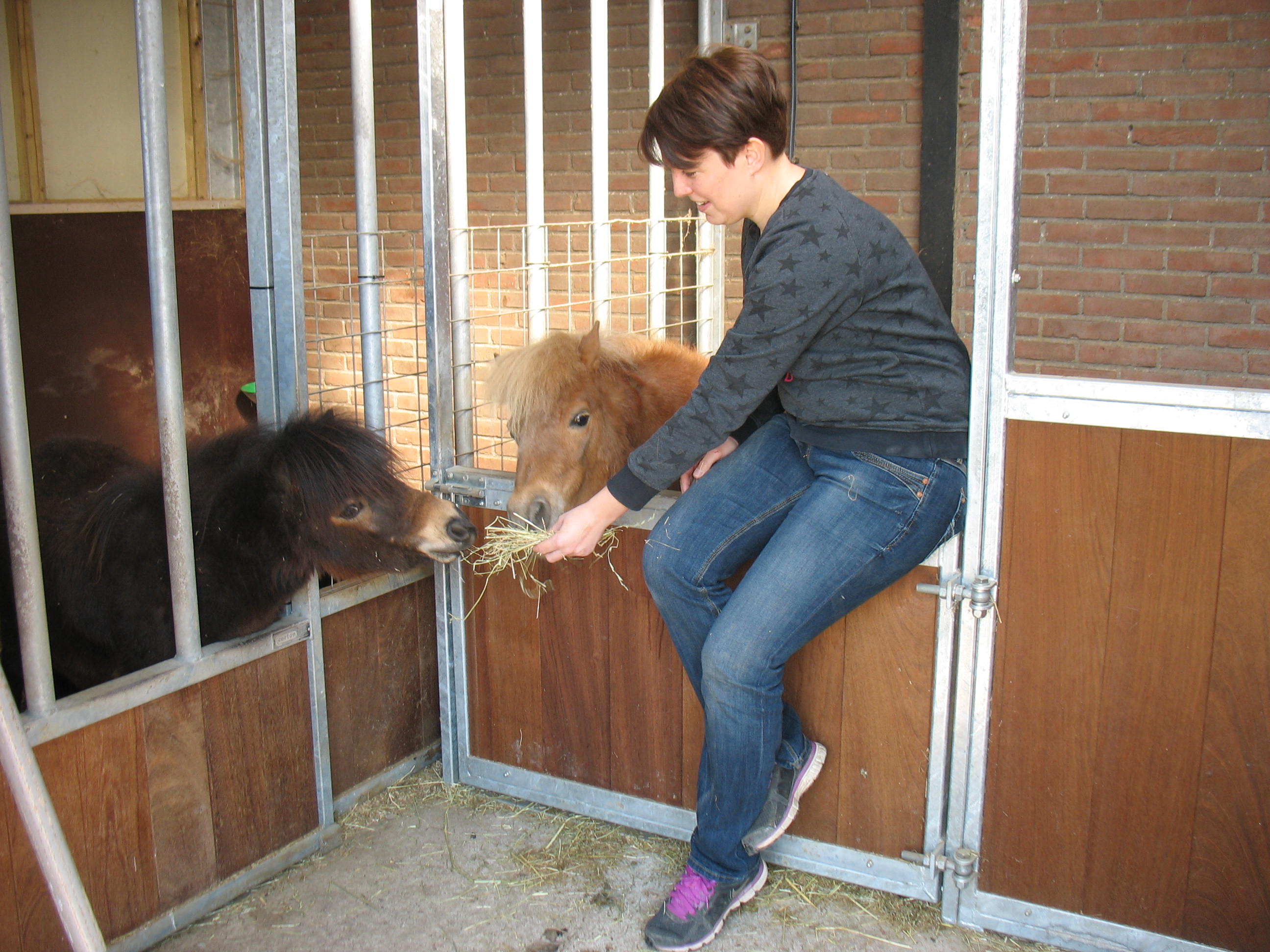 Marjolein van Exel met haar minipaardjes